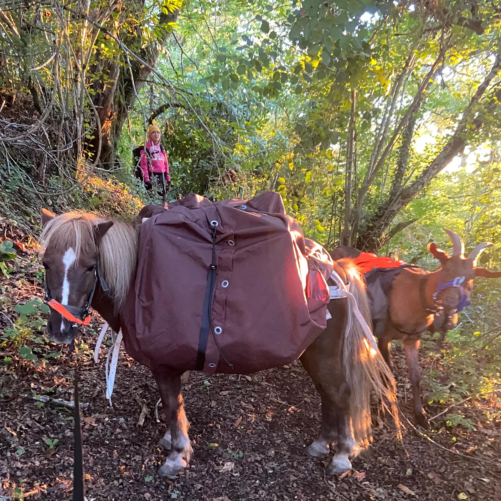 Holiday Hike