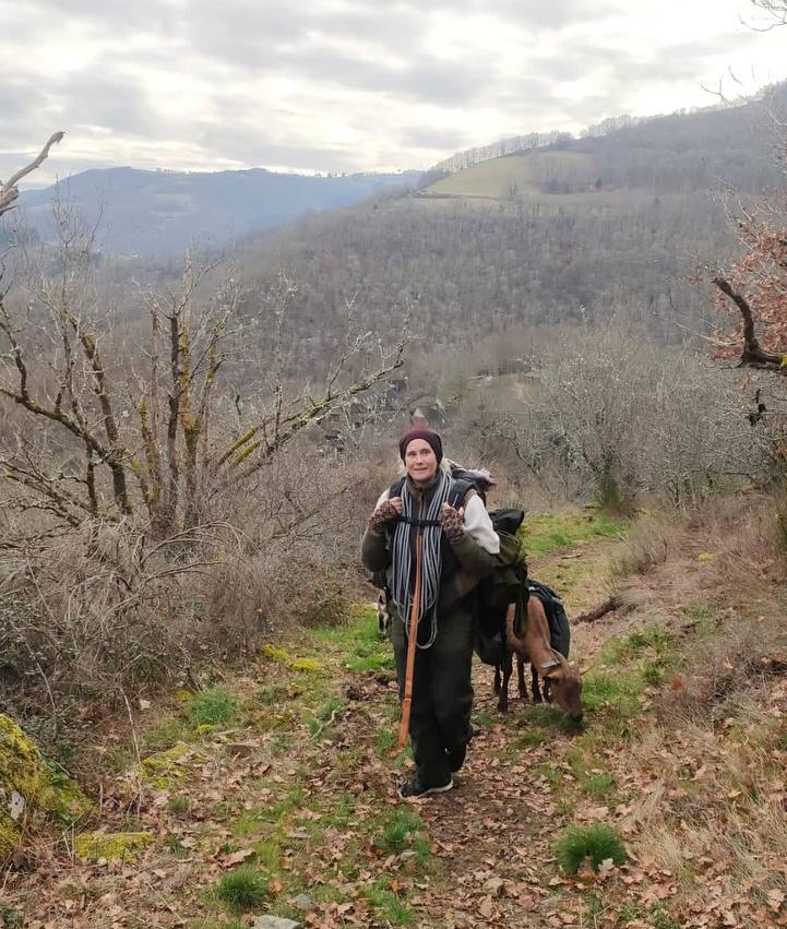 Pilgrimage - Nature walk with pack goats
